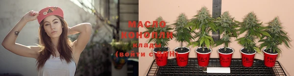 индика Вязники