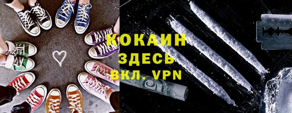 прущая мука Вяземский