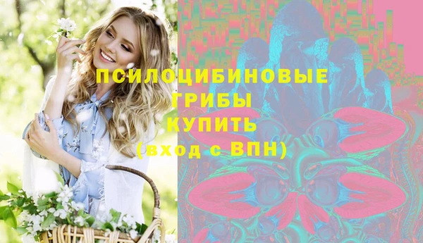 прущая мука Вяземский
