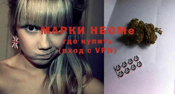 индика Вязники