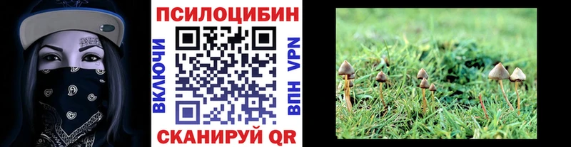 Псилоцибиновые грибы прущие грибы  Балаково 